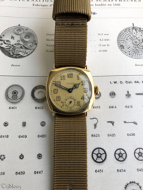 Vroege IWC