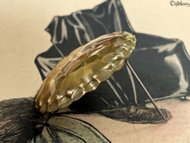 Albert Kahlbrandt Brooch