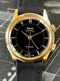 Timor "Voxor" Alarm
