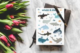 Stickersheet Whales & Sharks