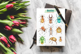 Stickersheet Beetles