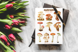 Stickersheet Mushrooms