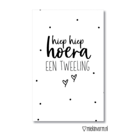 Mini Hiep hiep hoera een tweeling