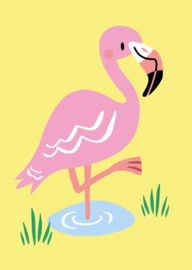 Kaart Flamingo