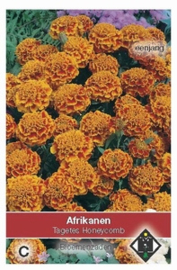 Tagetes patula nana Honeycomb - Afrikaan