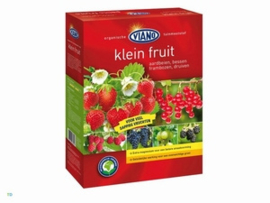 Viano Bessen Druif en Kleinfruit 1.5 kg + 250 gram Gratis