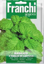 Basilicum Slabladig - Basilico a foglie di lattuga