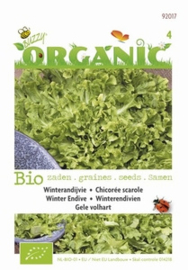 Organic Bio Andijvie Volhart