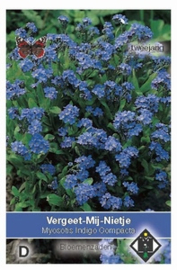 Myosotis sylvatica Indigo Compacta - Vergeet Mij Nietje