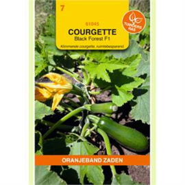 COURGETTE KLIMMEND BLACK FOREST