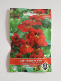 Tropaeolum Red Troika