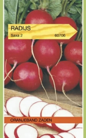 Radijs Saxa