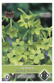 Nicotiana Lime Green - Siertabak