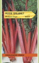 Snijbiet Rhubarb Chard