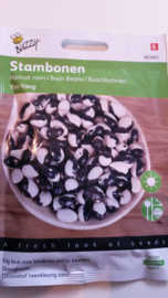 STAMBONEN YIN-YANG BUZZY SEEDS