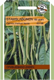 Haricots Verts Calima