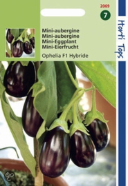 Aubergine Ophelia F1