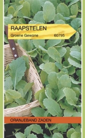 Raapsteel Groene Gewone