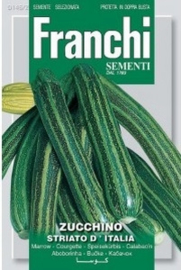 Courgette - Zucchino striato d'Italia