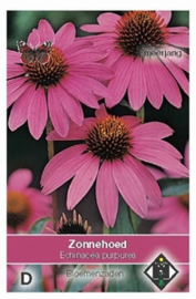 Echinacea purpurea - Zonnehoed - vaste plant