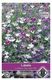 Lobelia Cascade Mix