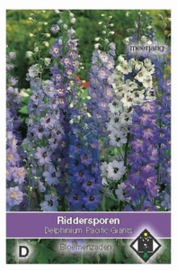 Delphinium Pacific Giants  vaste plant - Ridderspoor