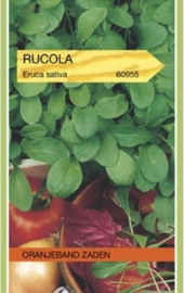 Rucola gewone