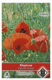 Papaver rhoeas - Klaproos