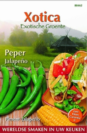 Peper Jalapeno