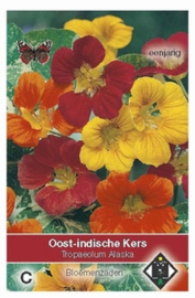 Oost indische kers / Tropaeolum