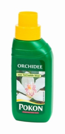 Orchidee Voeding