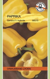 Paprika Gemini F1 Hybride