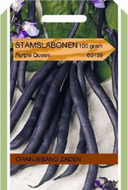 Stamslabonen Purple Queen