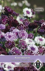 Centaurea Classic Magic - Korenbloem