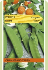 Peulen Record