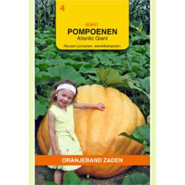 Pompoen Atlantic Giant