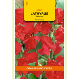 Lathyrus Siererwt Royal Rood