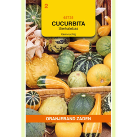 CUCURBITA Sierkalebas Kleine Vruchten Gemengd