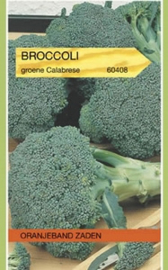 Broccoli Calabria