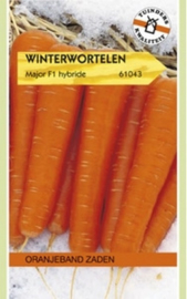 Winterwortel Major F1