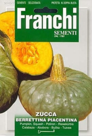 Pompoen - Zucca berrettina piacentina