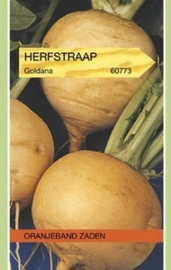 Herfstraap Goldana