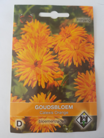Goudsbloem - Calexis Orange