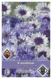 Centaurea Classic Fantastic - Korenbloem