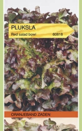 Pluksla Red salad bowl