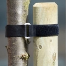 Tree fix - Boomband met Klittenband