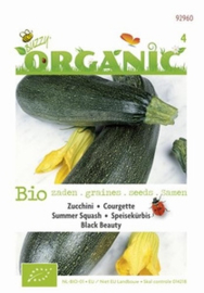 Organic Bio Courgette Black Beauty