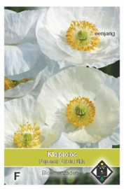 Papaver rhoeas Bridel Silk - Klaproos