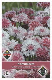 Centaurea Classic Romantic - Korenbloem