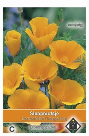 Eschscholzia 'Orange King'  Slaapmutsje